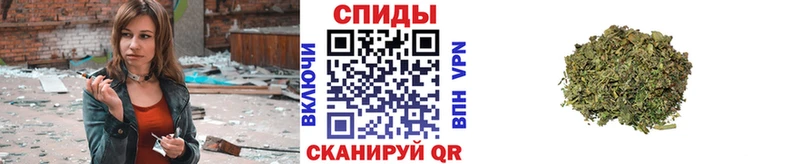 Бутират буратино  Купить где  Балахна 