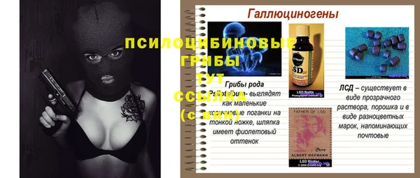 герыч Иннополис