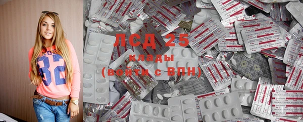 прущие крисы Инта