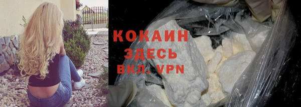 прущие крисы Инта