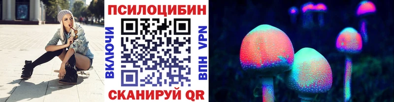 Псилоцибиновые грибы Psilocybe  Купить закладки  Балахна 